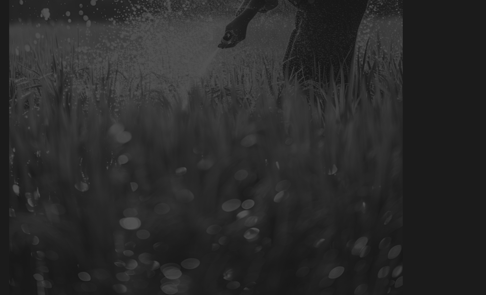 محرك البنزين