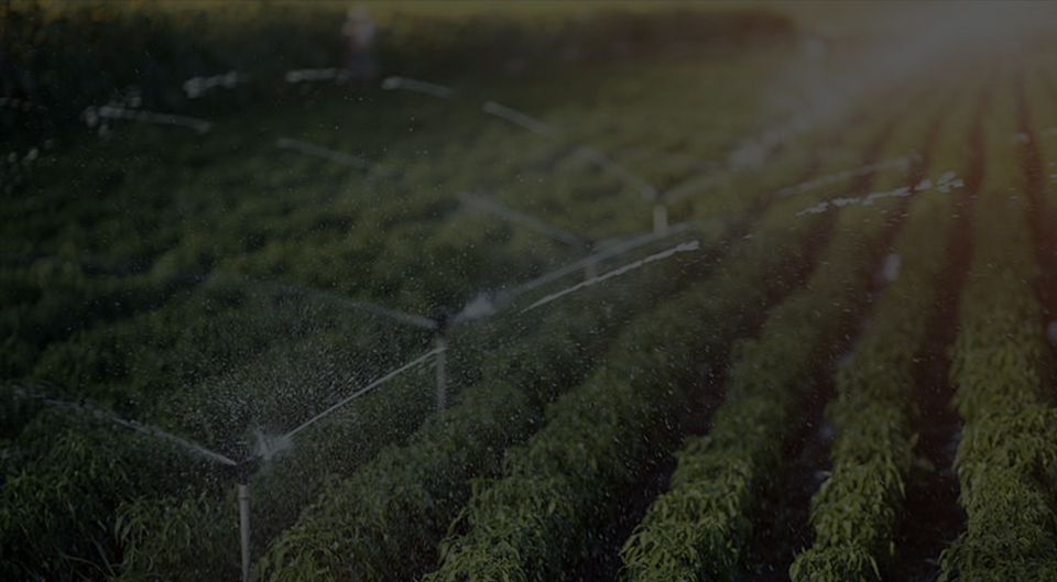 ما الذي يجب أن أنتبه إليه عند شراء مضخة مياه الرش؟