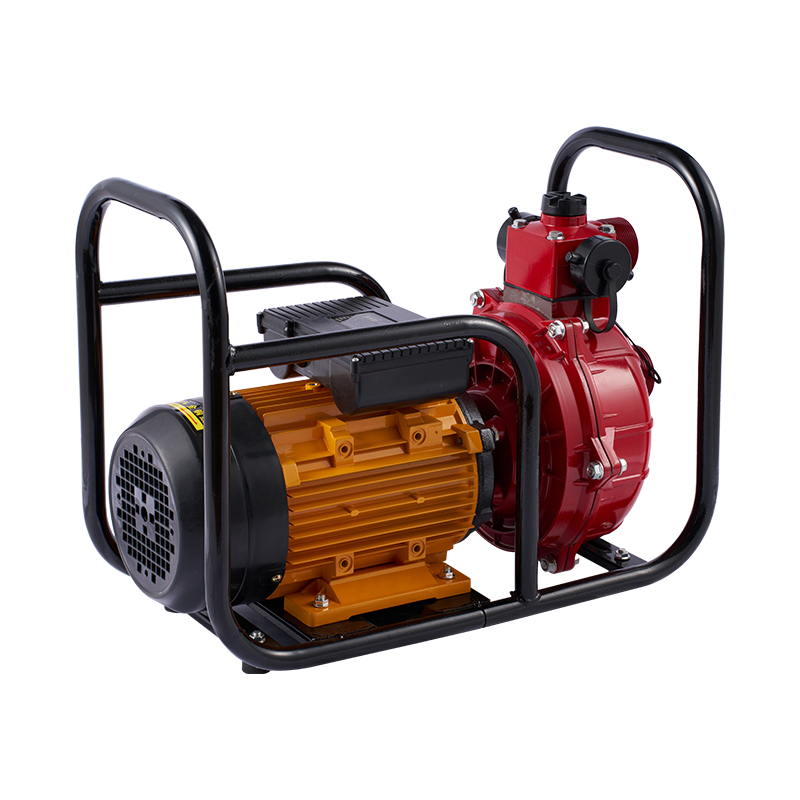 مضخة مياه كهربائية ذات تدفق كبير مزدوجة المكره للري