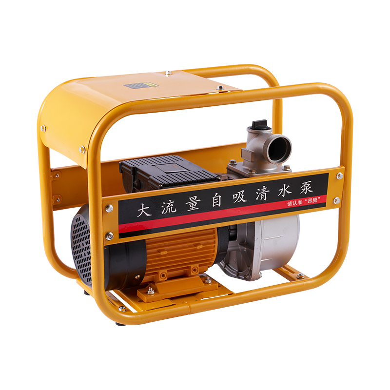 مضخة كهربائية ذات ضغط عالي وتدفق كبير مقاس 3 بوصة